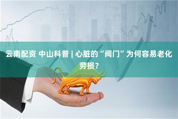 云南配资 中山科普 | 心脏的“阀门”为何容易老化劳损？