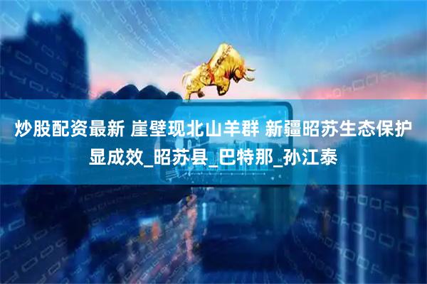 炒股配资最新 崖壁现北山羊群 新疆昭苏生态保护显成效_昭苏县_巴特那_孙江泰